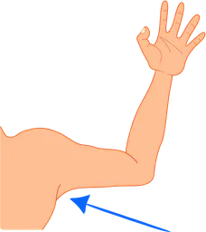 arm pit.webp